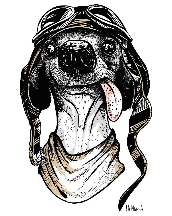 Camiseta perrete