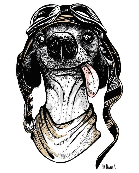 Camiseta perrete