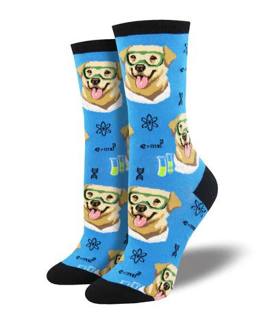 dog scientist socks