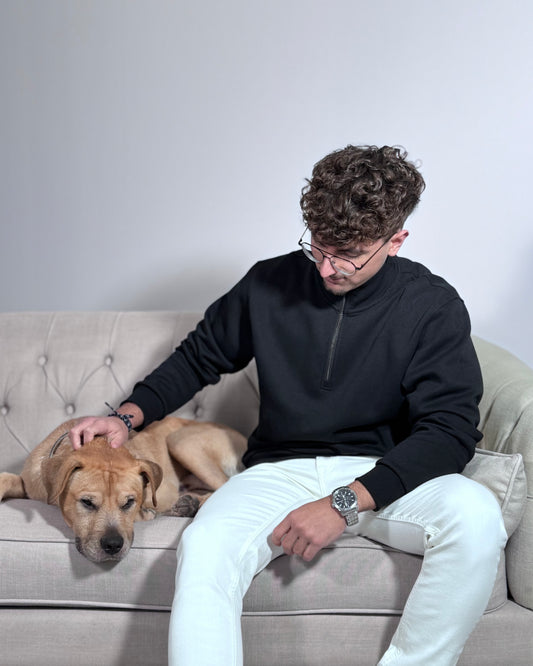 Sudadera Jack & Jones Jjebradley